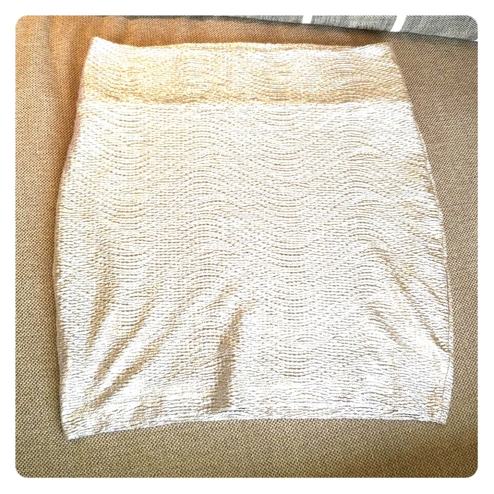 Platinum shiny skirt
